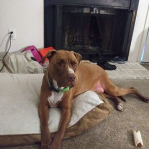 Meet your Posher, Paula